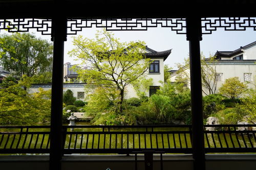 熱烈祝賀我司六個(gè)項(xiàng)目榮獲2019年度杭州市優(yōu)秀園林綠化工程金獎(jiǎng)